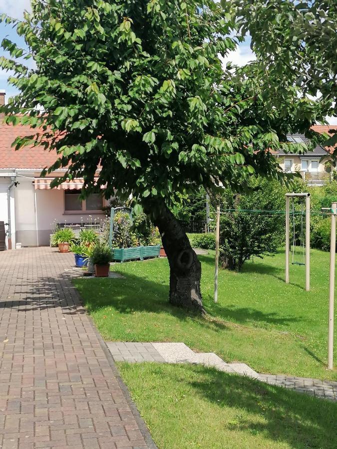 Toepferblick Apartment Olbersdorf Luaran gambar